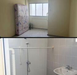 Blk 806 Tampines Polyview (Tampines), HDB 3 Rooms #536650691